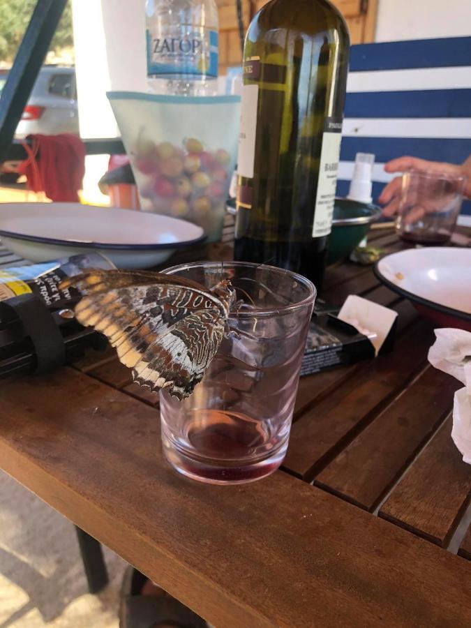 Velonas Beach Mpakas Country Cottage Prosilio  외부 사진